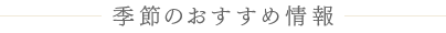 季節のおすすめ情報